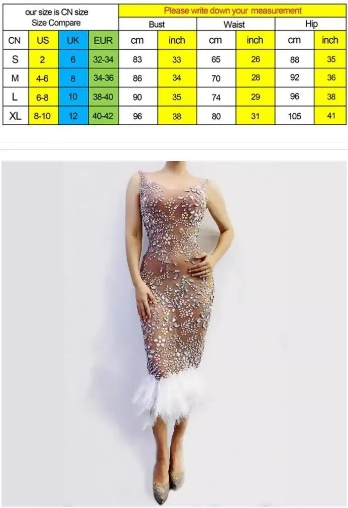 Sexy Female Singer Costume Nightclub Bar Female Singer Full Diamond Tiara Mesh Feather Plum Blossom Diamond Skirt Abiti Da Festa